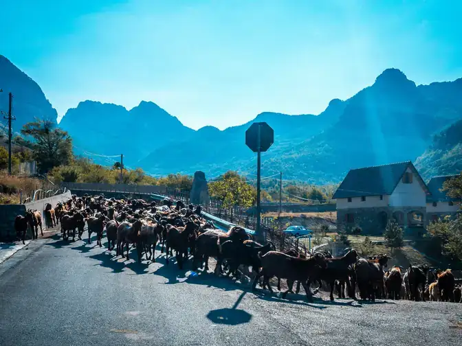Theth national park, northern Albania
